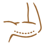 Braços